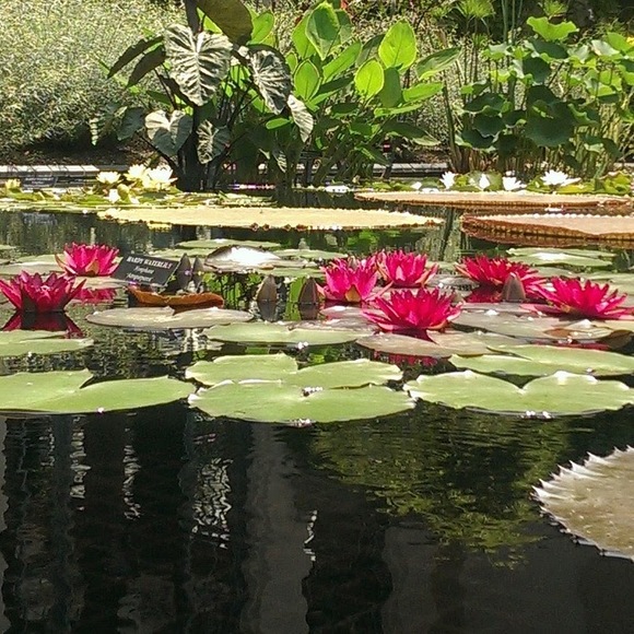 Meet your Posher, Karen - Picture 1 of 1